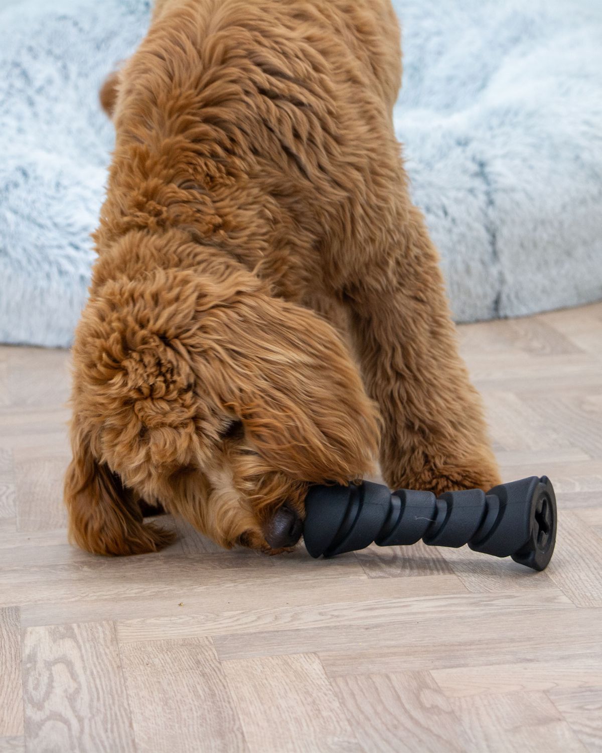 Ancol Tough Treat Dispenser Dog Toy