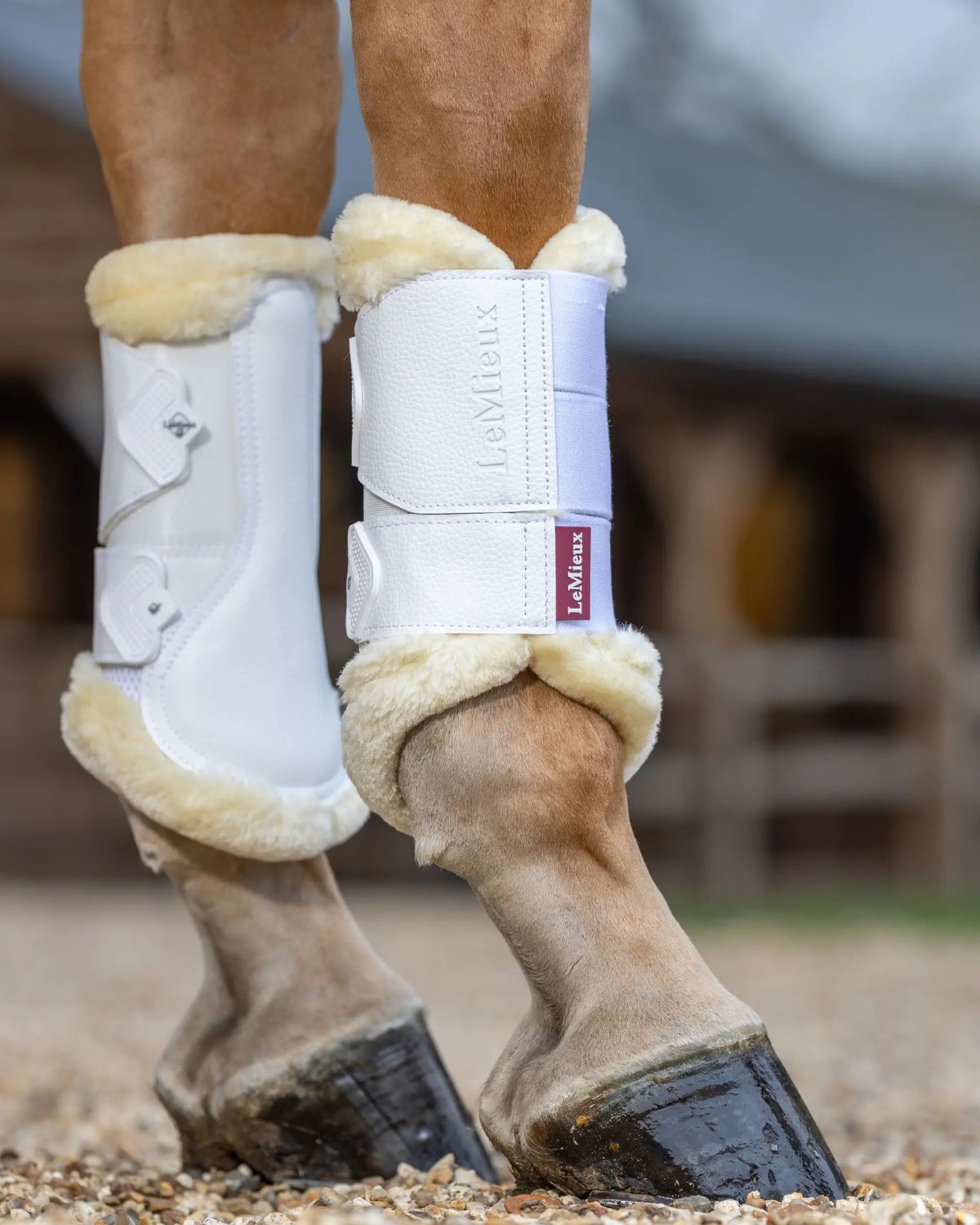 Lemieux White Fleece Edged Mesh Horse Boots: Equine Leg Protection, Brushing Boots, Support, Horse Riding Gear