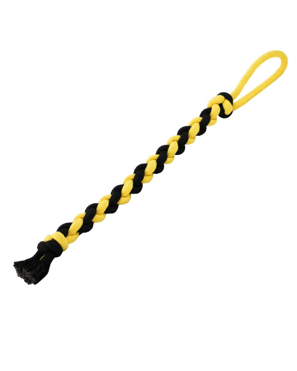 Ancol Playtime Bumble Bee Ropey Twist Dog Toy