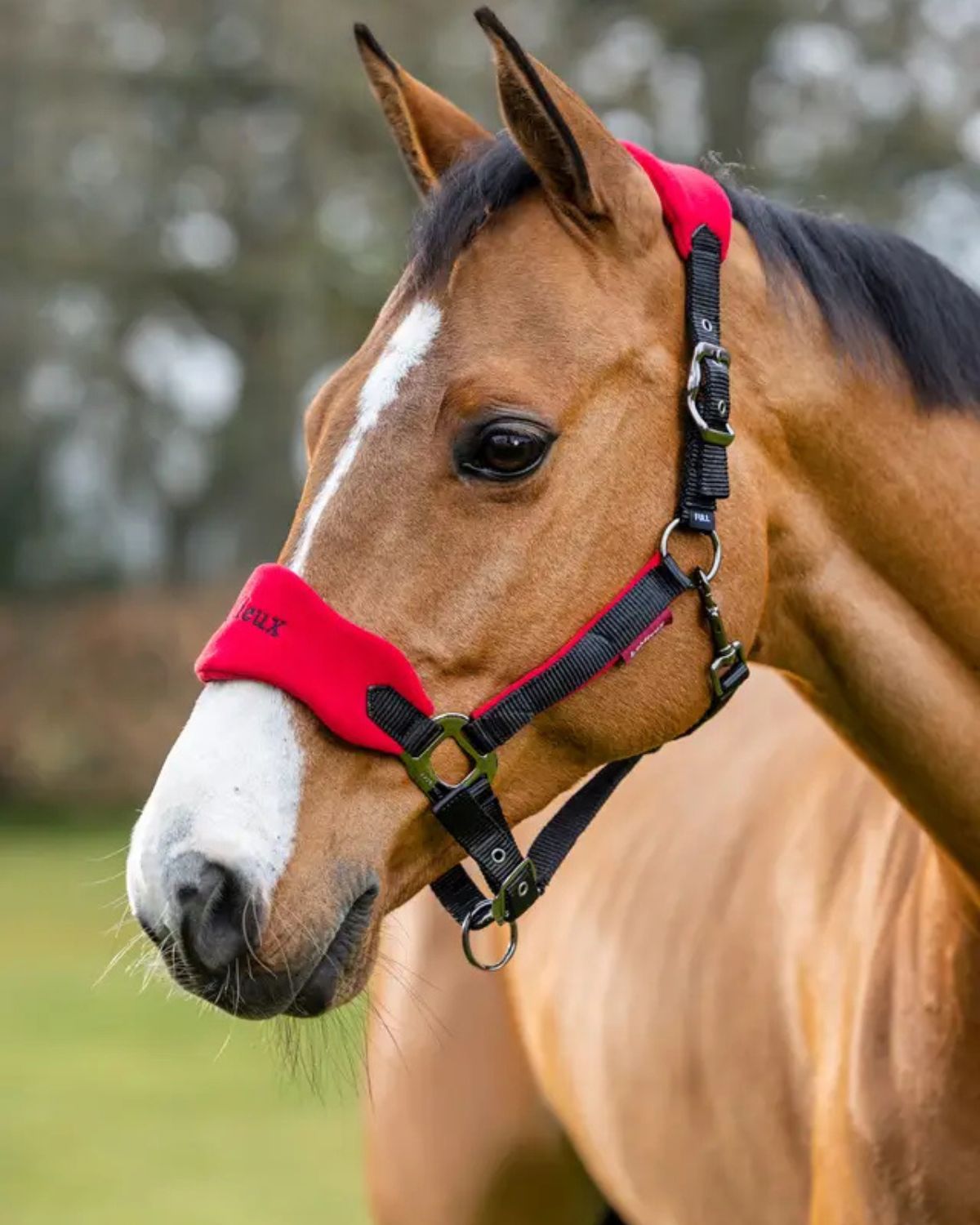 LeMieux Vogue Chilli Headcollar: Comfortable fleece-lined headcollar for horses. Buy stylish equestrian gear at Equiflair Saddlery.