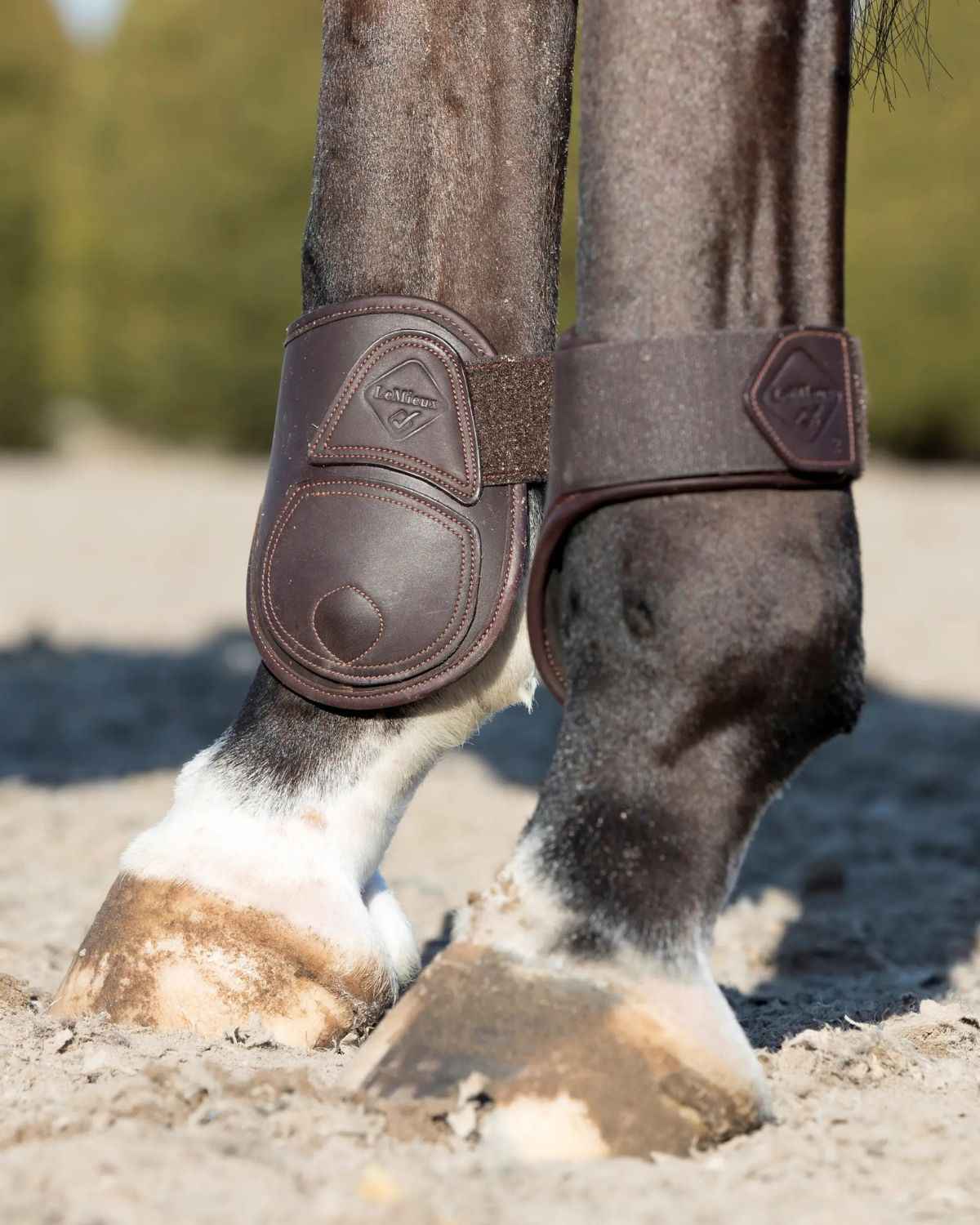 LeMieux Capella Fetlock Boots Brown