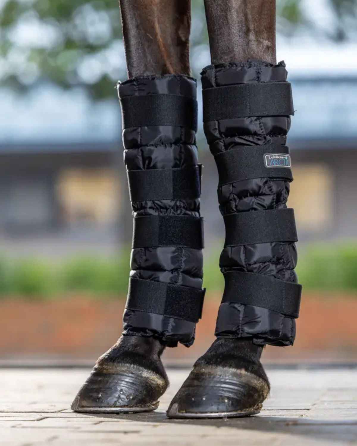 LeMieux Arctic Ice Boot (Pair) Black