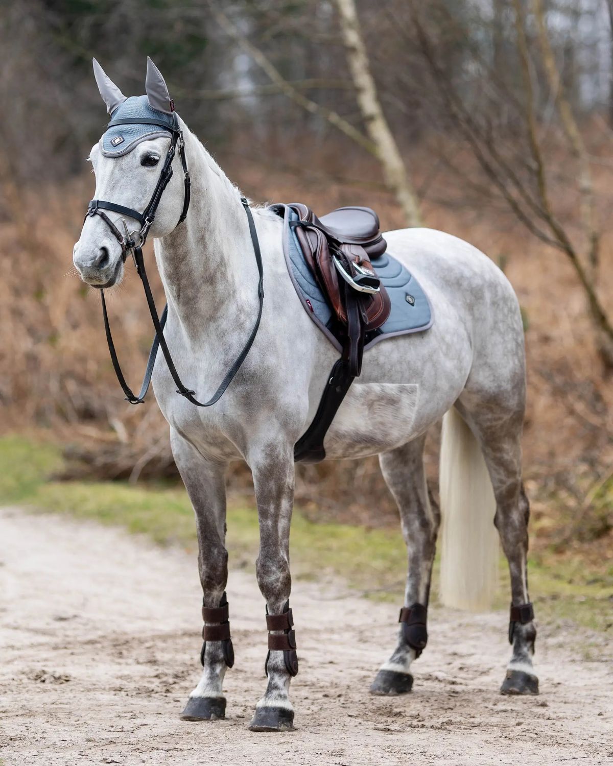 LeMieux Ultra Mesh Grey Saddle Pad on a Horse | Breathable Equestrian Gear | Equiflair
