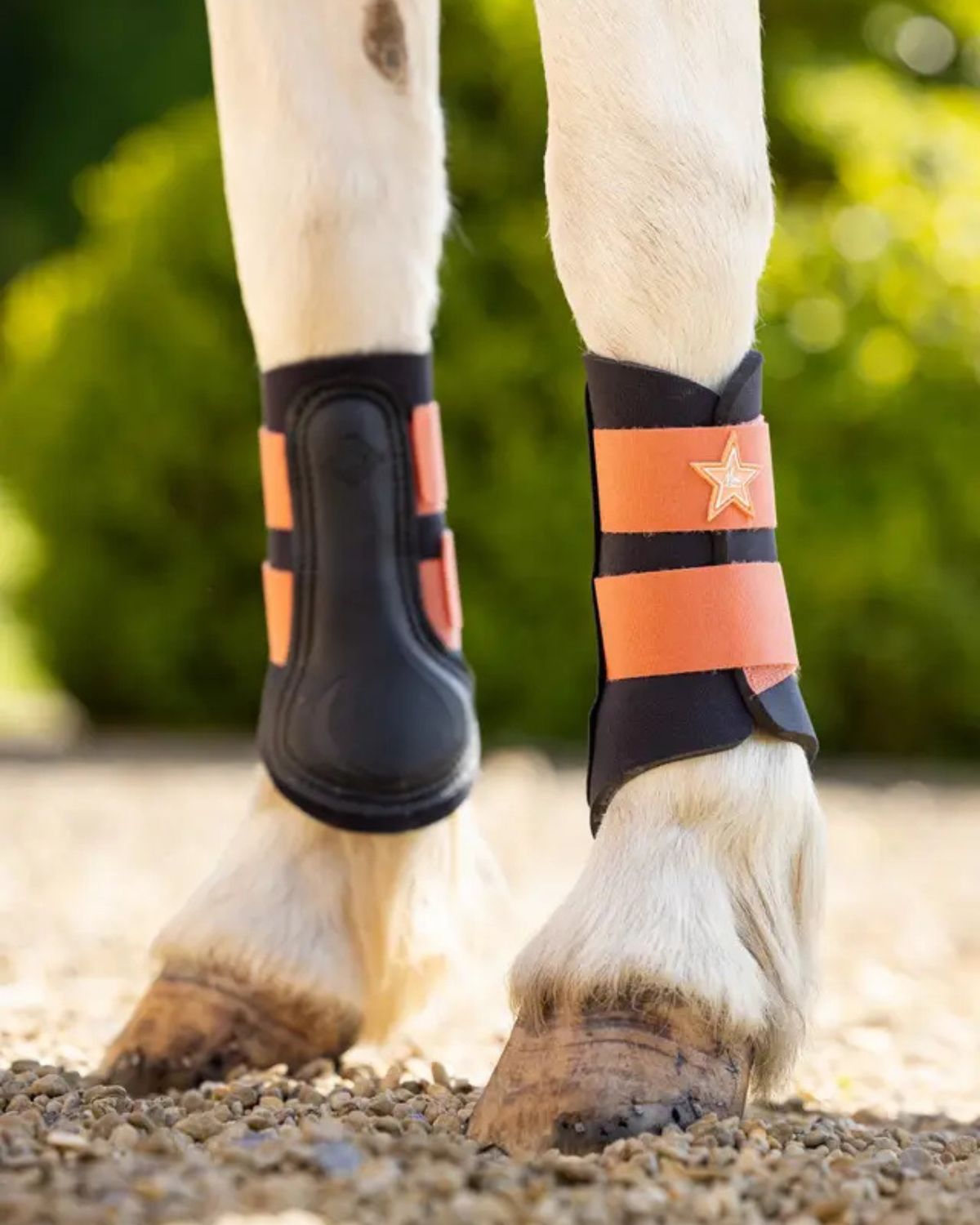 LEMIEUX Mini Brushing Boots Apricot - Protective Pony Legwear for Riding & Turnout