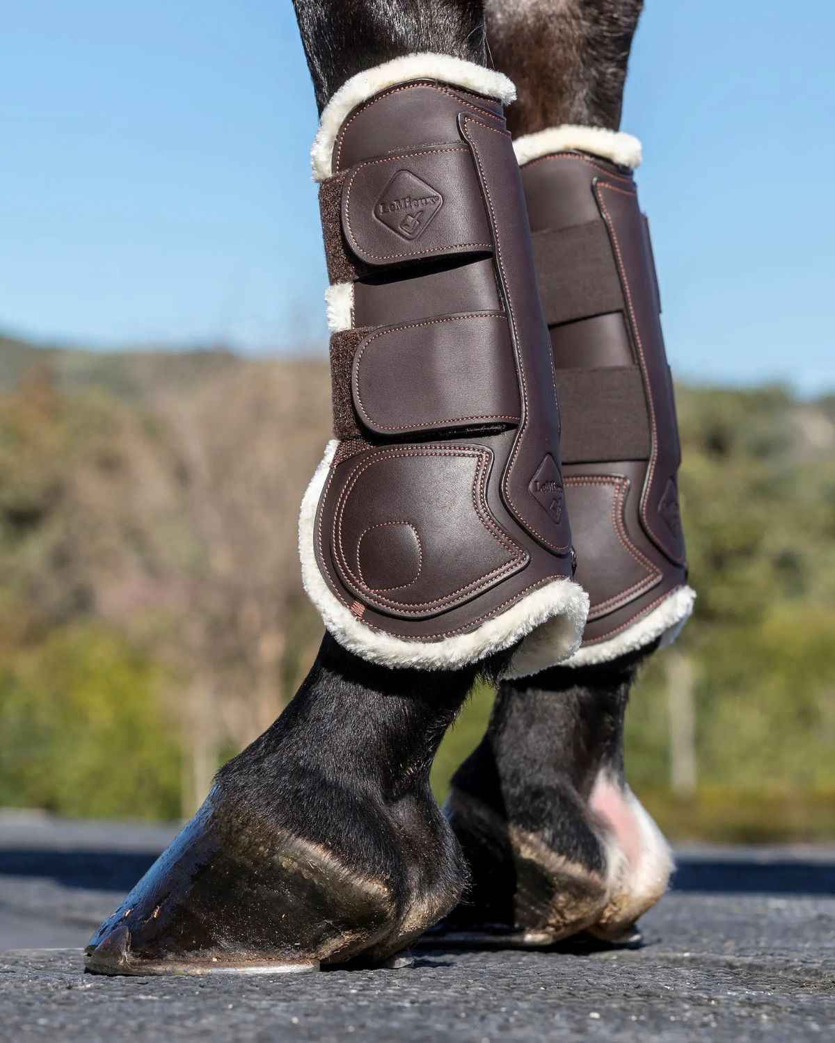 LeMieux Capella Comfort Tendon Boots Brown