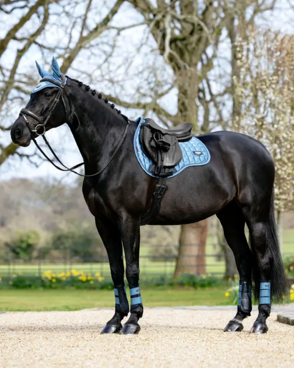 LeMieux Loire Classic GP Square Ice Blue | Equiflair