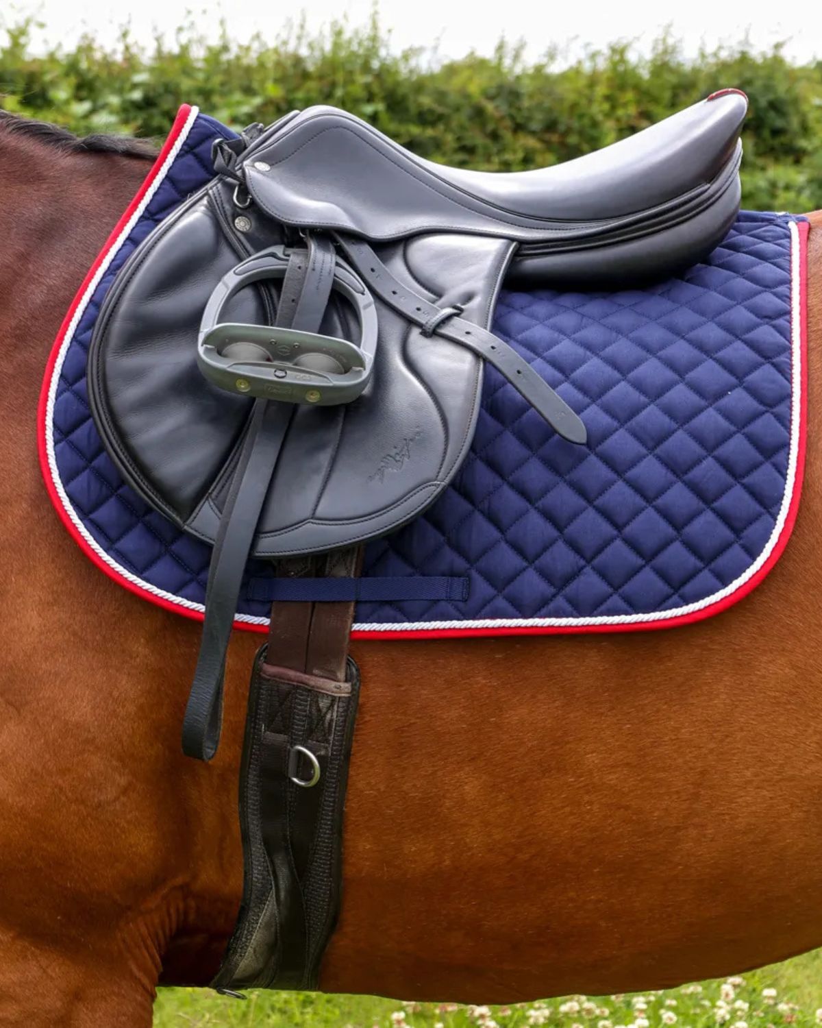 Hy Equestrian Splendid Showjump Saddle Pad Navy/Red/White