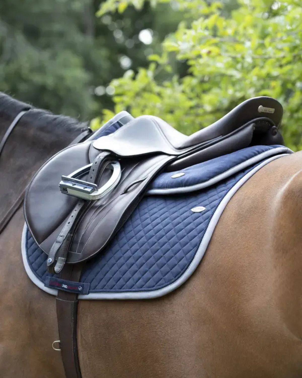 LEMIEUX Wither Relief Jump Pad Navy: Horse Saddle Pad for Optimal Comfort & Performance