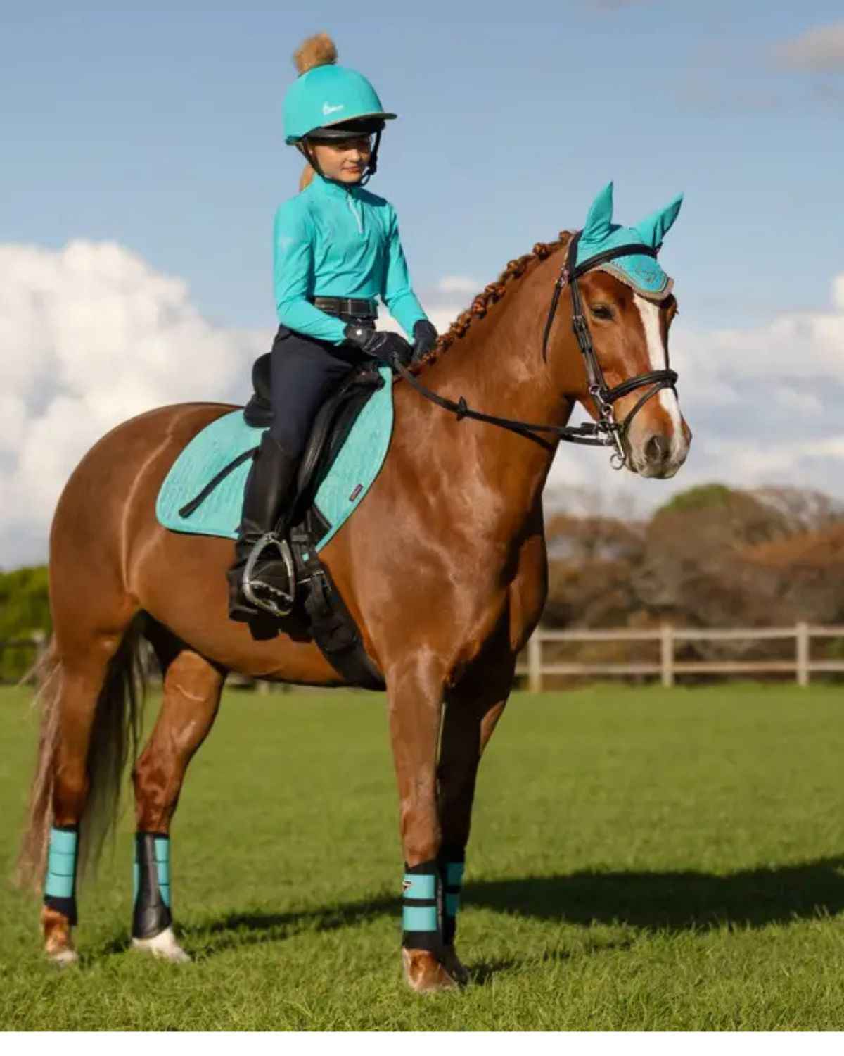 LeMieux Grafter Brushing Boot Azure