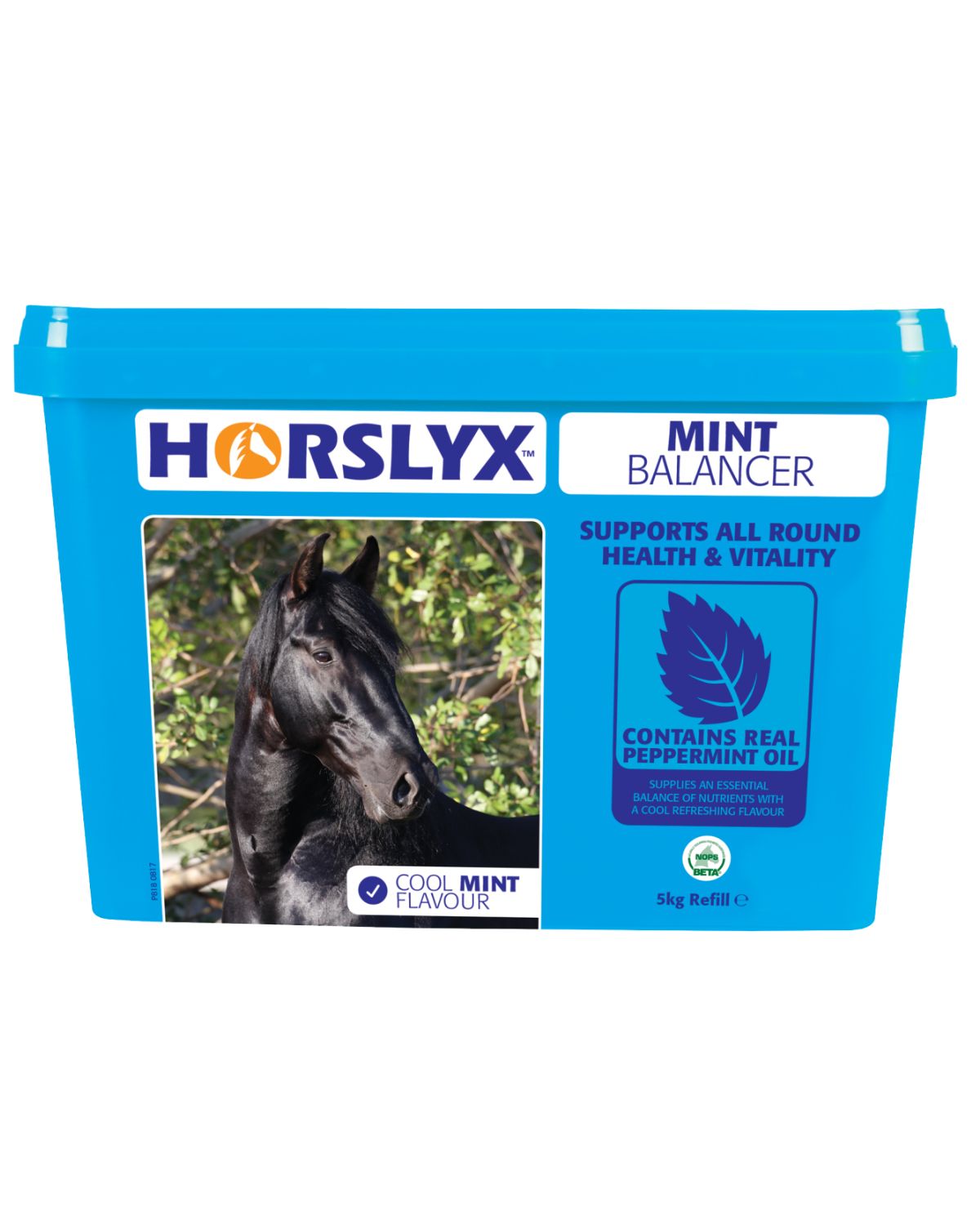Horslyx Mint Balancer