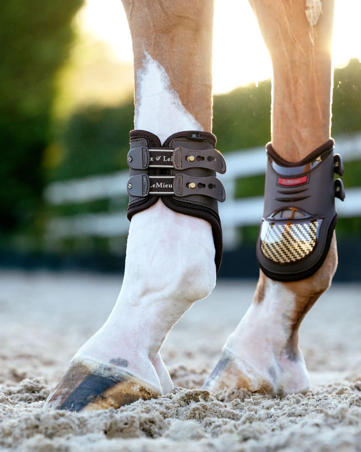 LeMieux Exo-Flex Fetlock Boots: Brown & Gold Equestrian Horse Boots for Protection & Support. Shop Now!