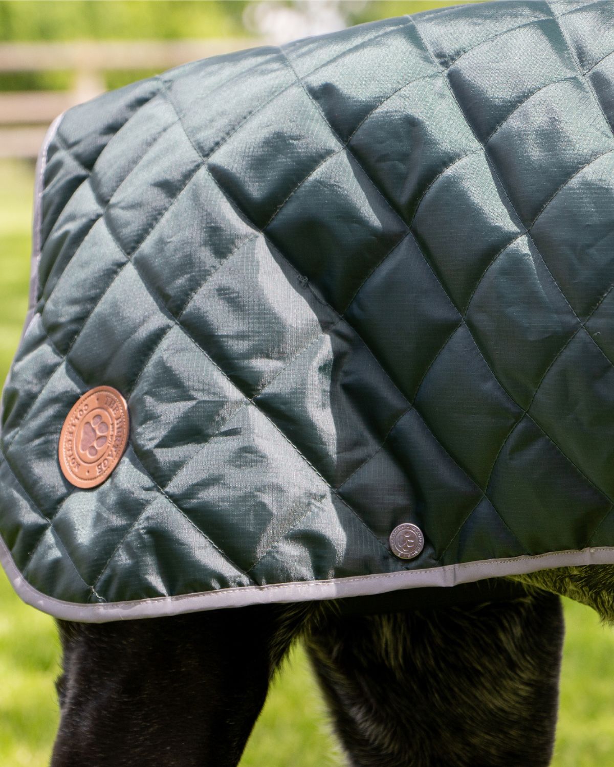 Ancol Heritage Quilted Dog Coat Green