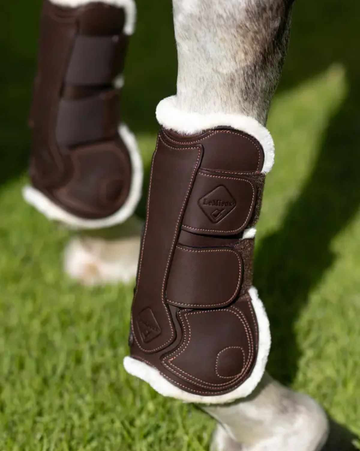 LEMIEUX Brown Leather Comfort Tendon Boots for Horses | Protective Horse Legwear