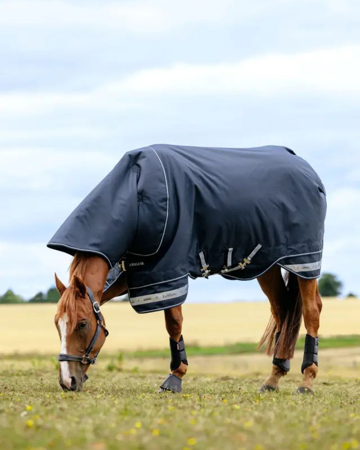 LeMieux Arika Storm - Tek Rug 100g Navy | Equiflair