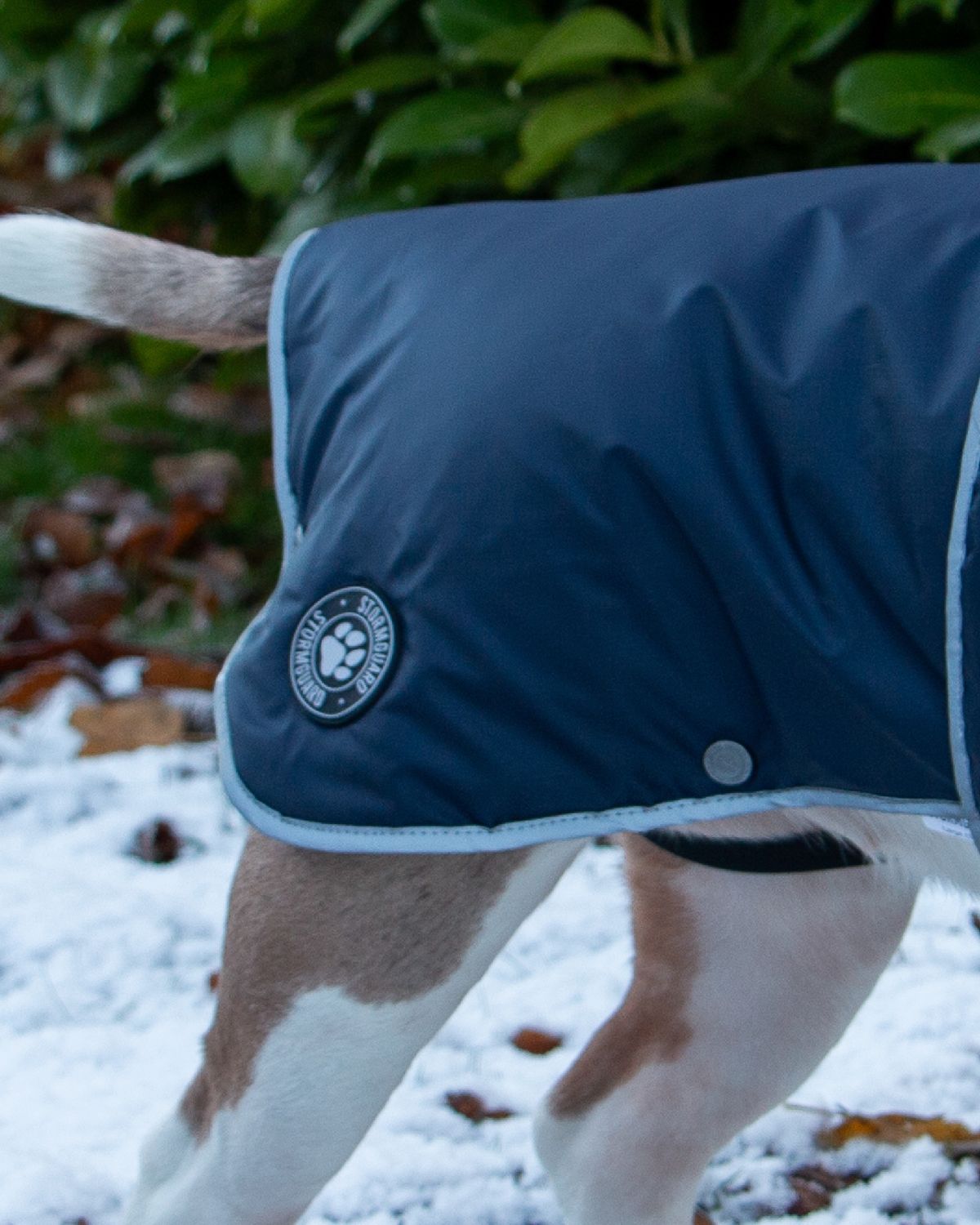 Ancol Stormguard Dog Coat Navy