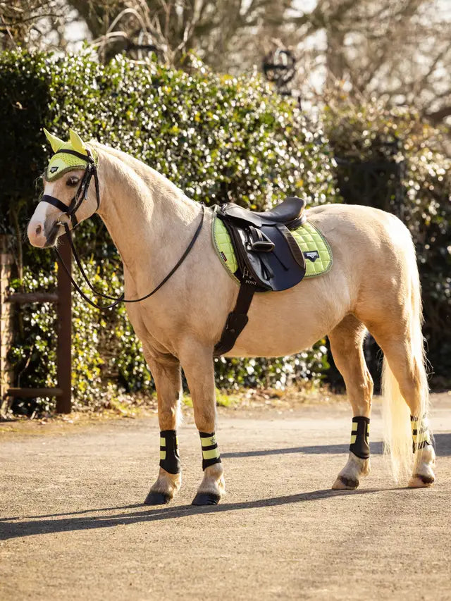 LEMIEUX Junior Loire Fly Hood Kiwi | Equine Fly Protection | Equiflair