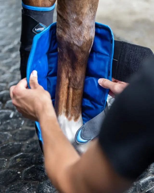 LeMieux Freeze Flow Ice Boot on Horse Leg: Cooling Equine Therapy