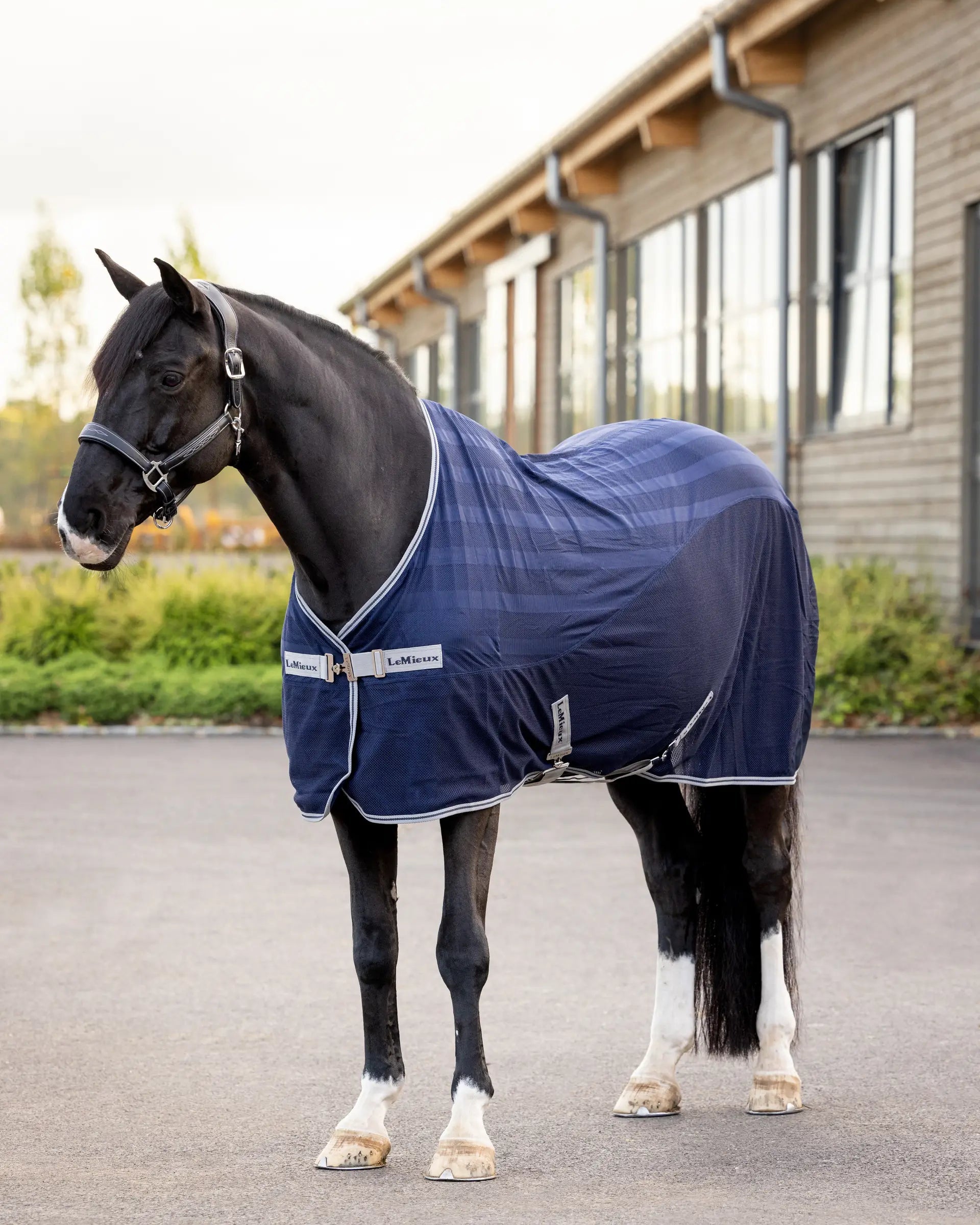 LeMieux Arika Air-Tek Sheet Navy: Cooling Mesh Horse Rug for Hot Weather. Equiflair UK