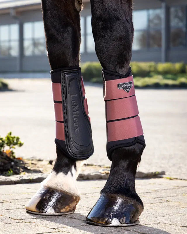 LEMIEUX Grafton Orchid Horse Brushing Boots - Equestrian Leg Protection