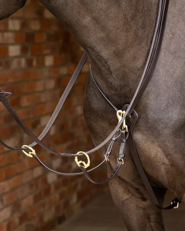 LeMieux Kudos Running Martingale Brown Brass Horse Riding Tack Close Up
