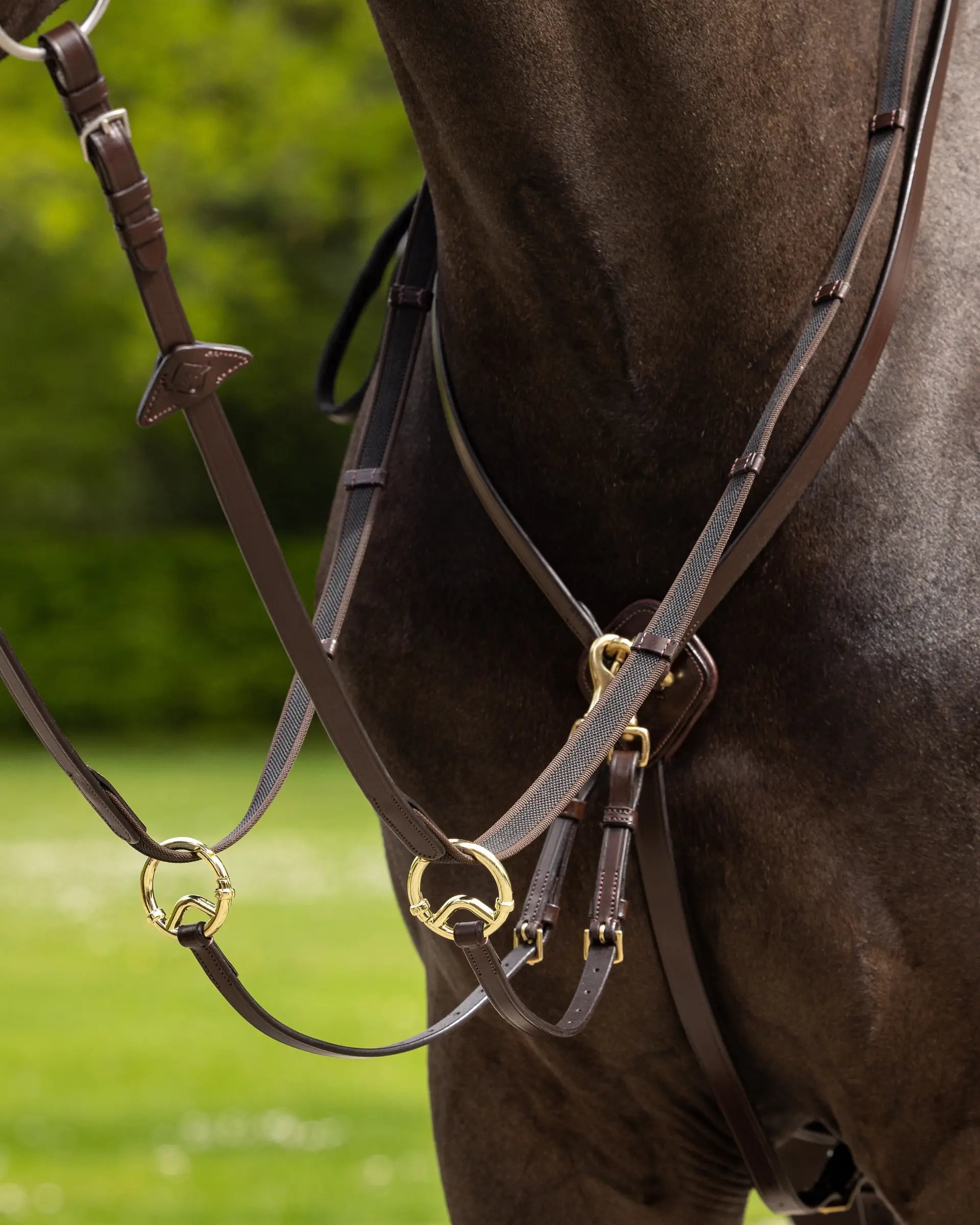 LeMieux Kudos Running Martingale Havana/Brass