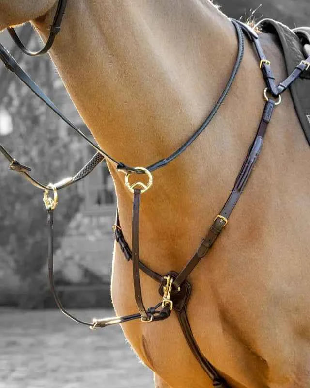 LeMieux Breastplate (D-Ring Attachment) Havana/Brass