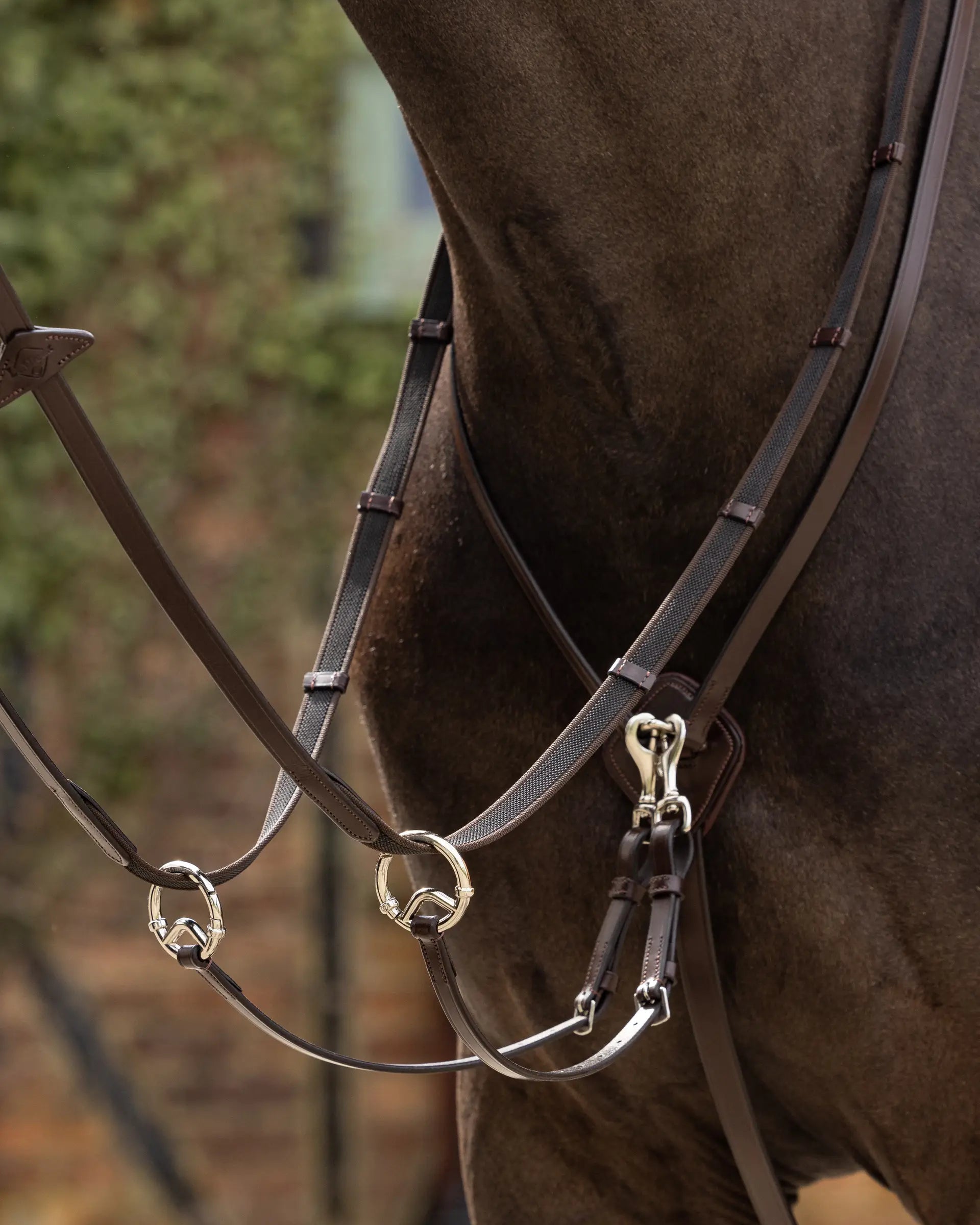 LeMieux Kudos Running Martingale Havana/Silver