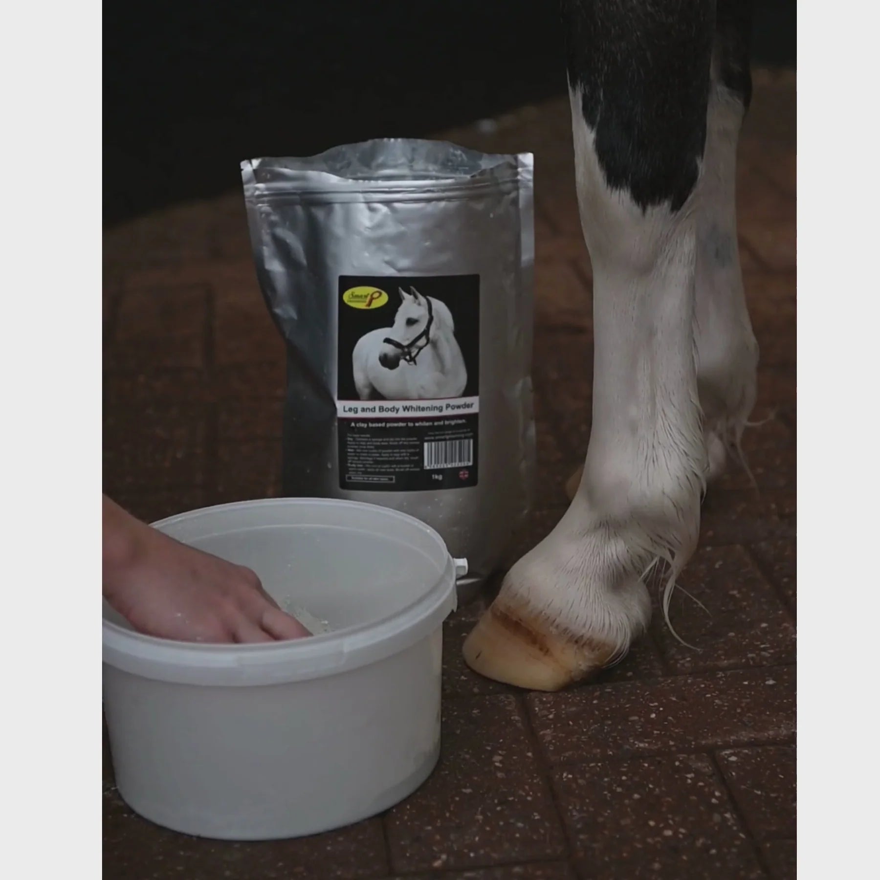 Smart Grooming Leg and Body Whitener for Horses from Equiflair being applied to a horse's leg.