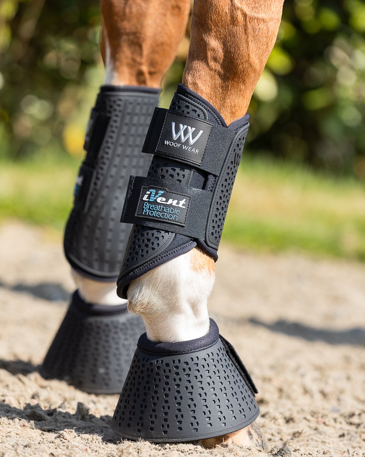 WOOF WEAR IVENT HYBRID BOOT BLACK at Equiflair: Breathable Horse Leg Protection for Brushing, Dressage, Hacking & Turnout.