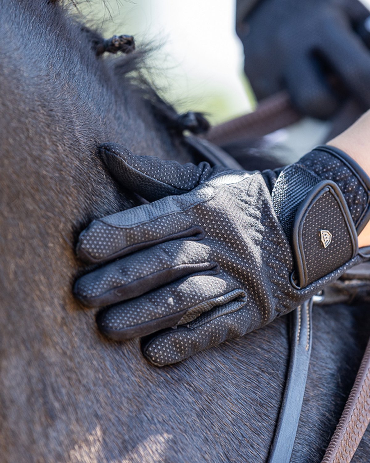 Woof Wear Windproof Riding Gloves Black - Horse Riding Equestrian Gloves