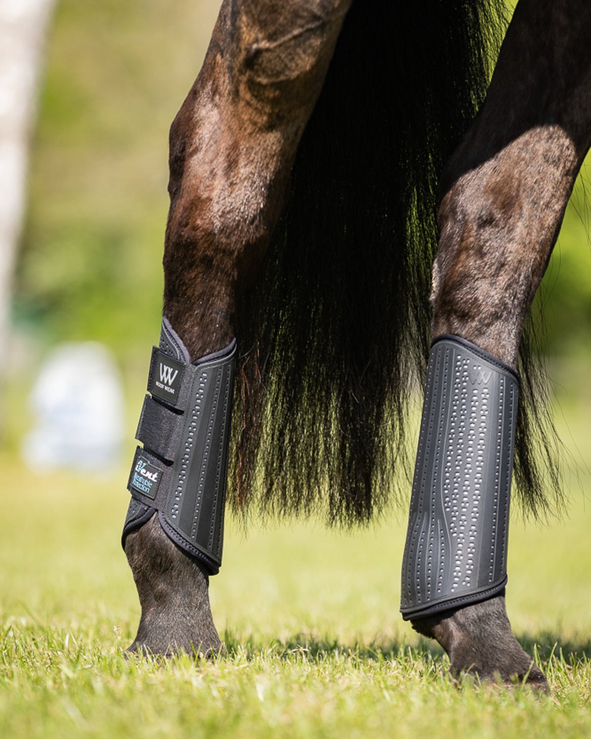 Woof Wear iVent Event Boots Hind Black Steel - Horse Leg Protection, Cross Country, Equestrian Equipment