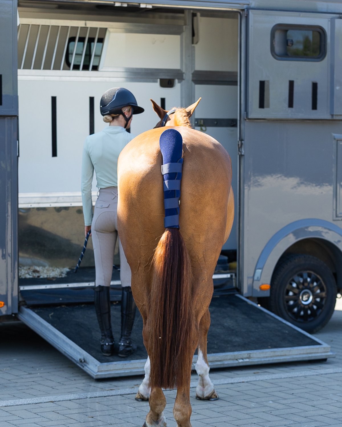 Woof Wear Tail Guard on Horse, Equiflair. Horse trailer, rider. Protective gear for horses. Equestrian equipment