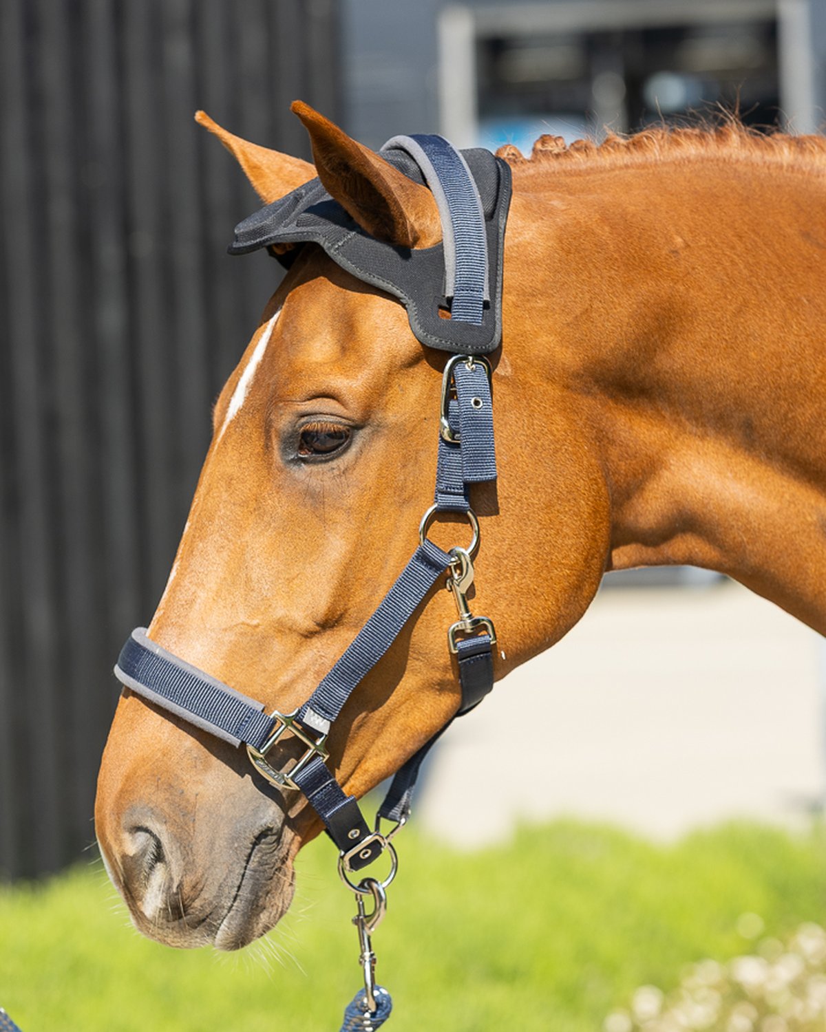 WOOF WEAR POLL GUARD BLACK - Horse Poll Protection. Protects delicate poll area, attaches to head collar, Equiflair.