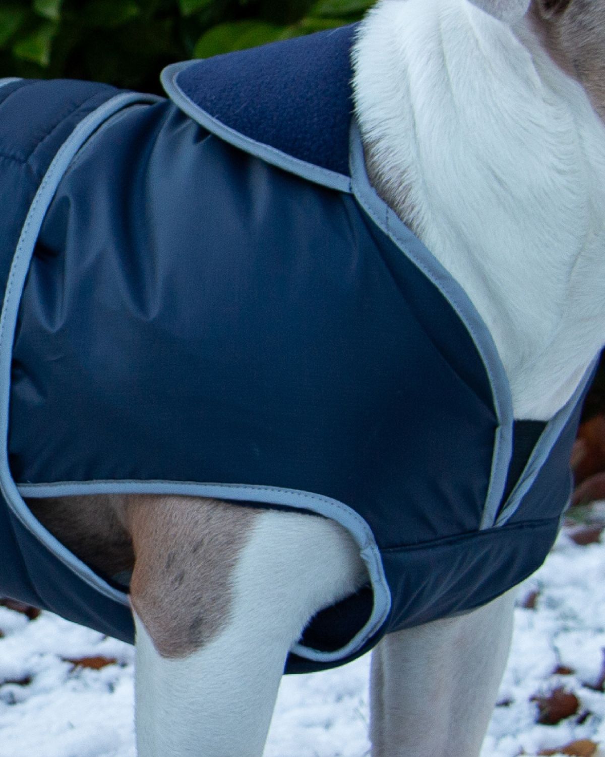 Ancol Stormguard Dog Coat Navy