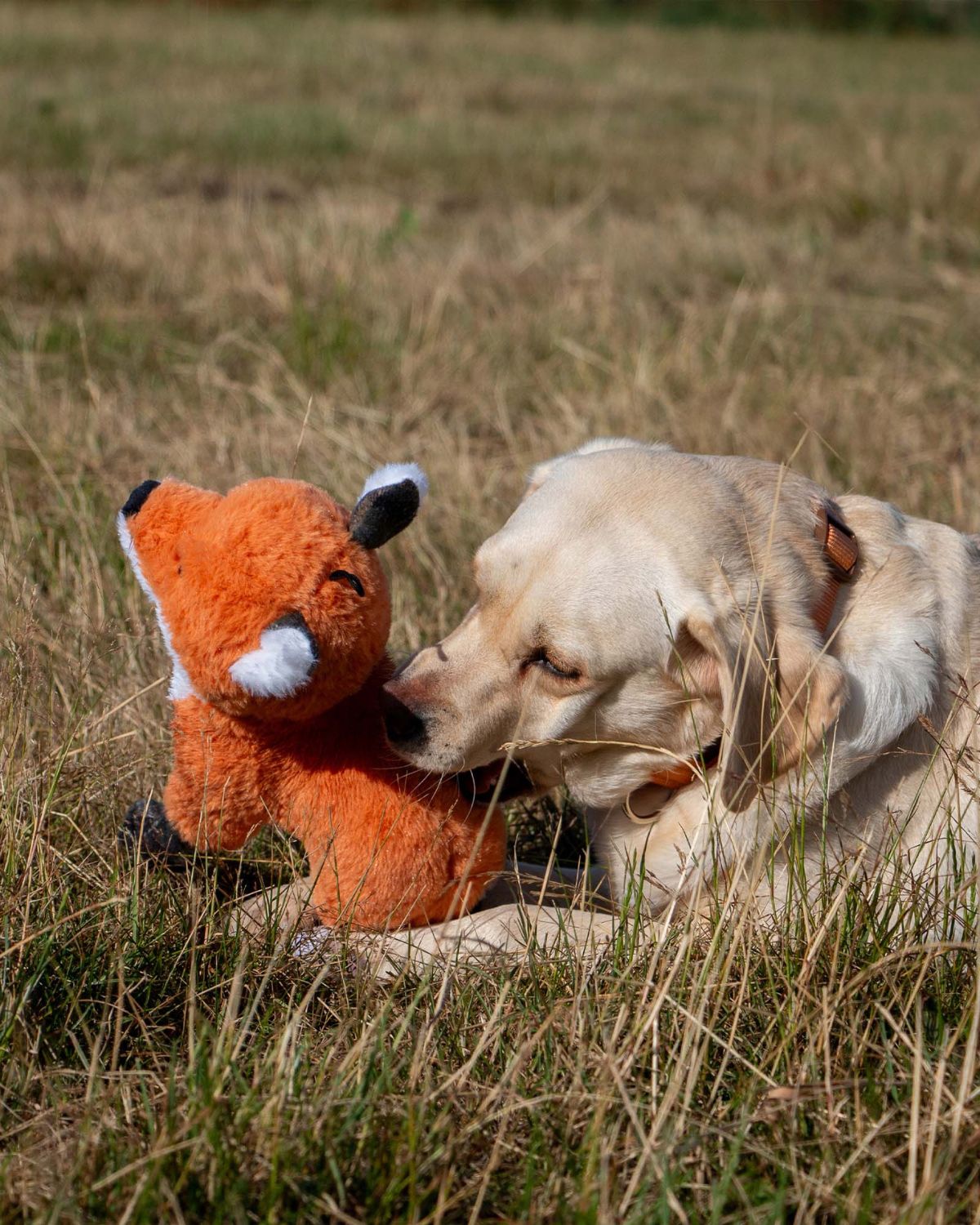 Ancol Heritage Felicity Fox Dog Toy