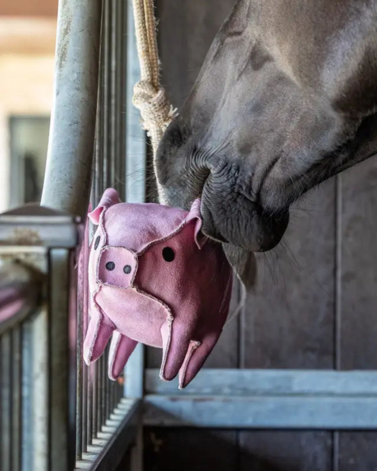 LeMieux Horse Toy Flying Pig