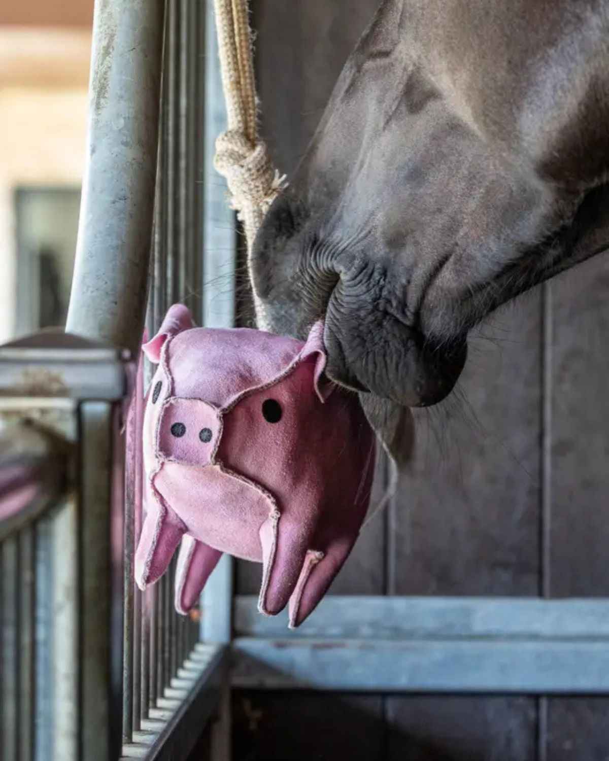 LeMieux Horse Toy Flying Pig