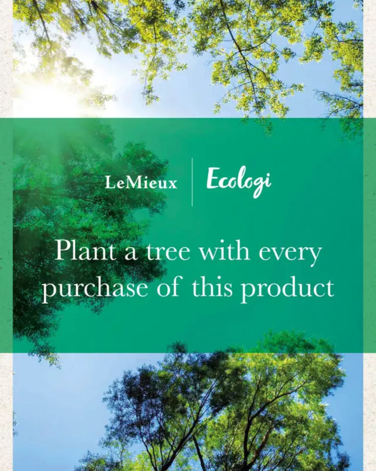 LeMieux Earth Close Contact Square Moss