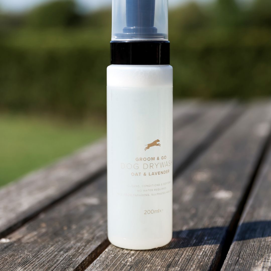 Groom & Go Dry Shampoo 6.8oz