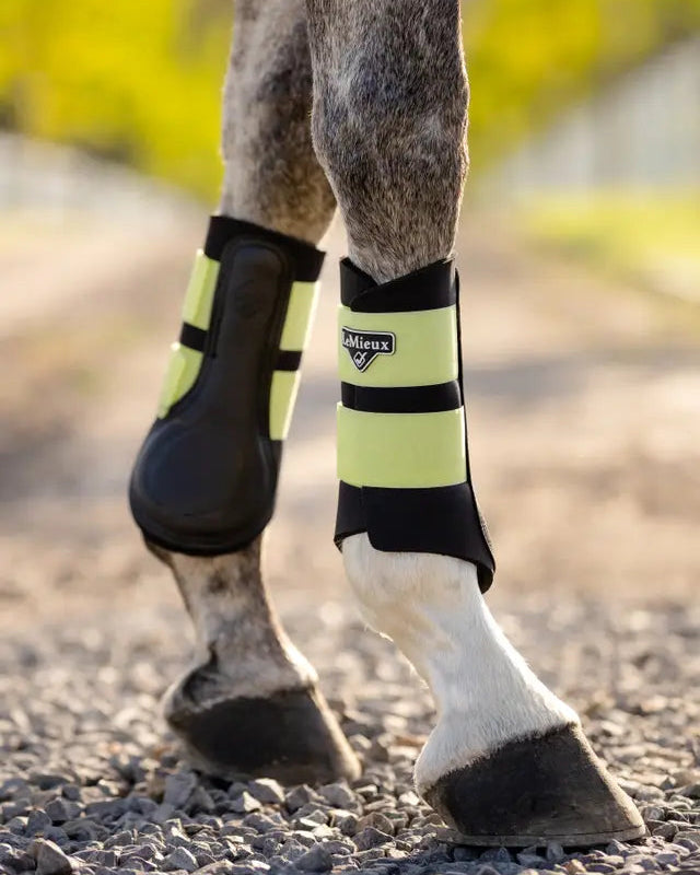 LEMIEUX Grafter Brushing Boots KIWI color - Horse Leg Protection