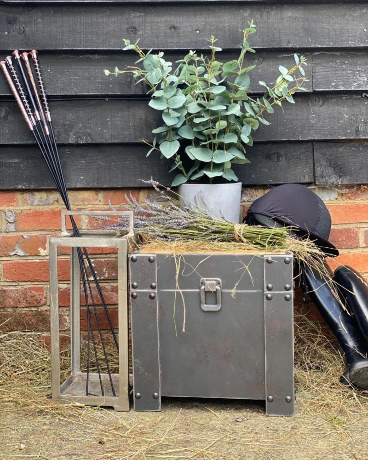 Equiflair KM Elite Dressage Whip, Riding Boots & Black Riding Helmet. Equestrian Equipment and Storage Trunk