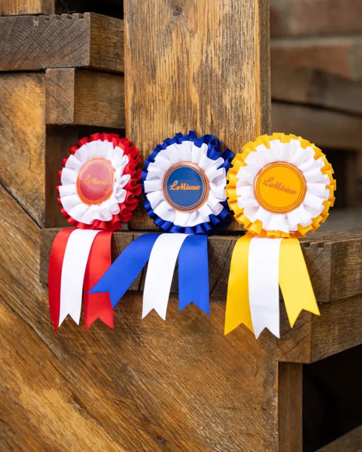 LEMIEUX Hobby Horse Rosette Pack Multi: Red, Blue, Yellow Winner Rosettes for Toy Horses | Equiflair