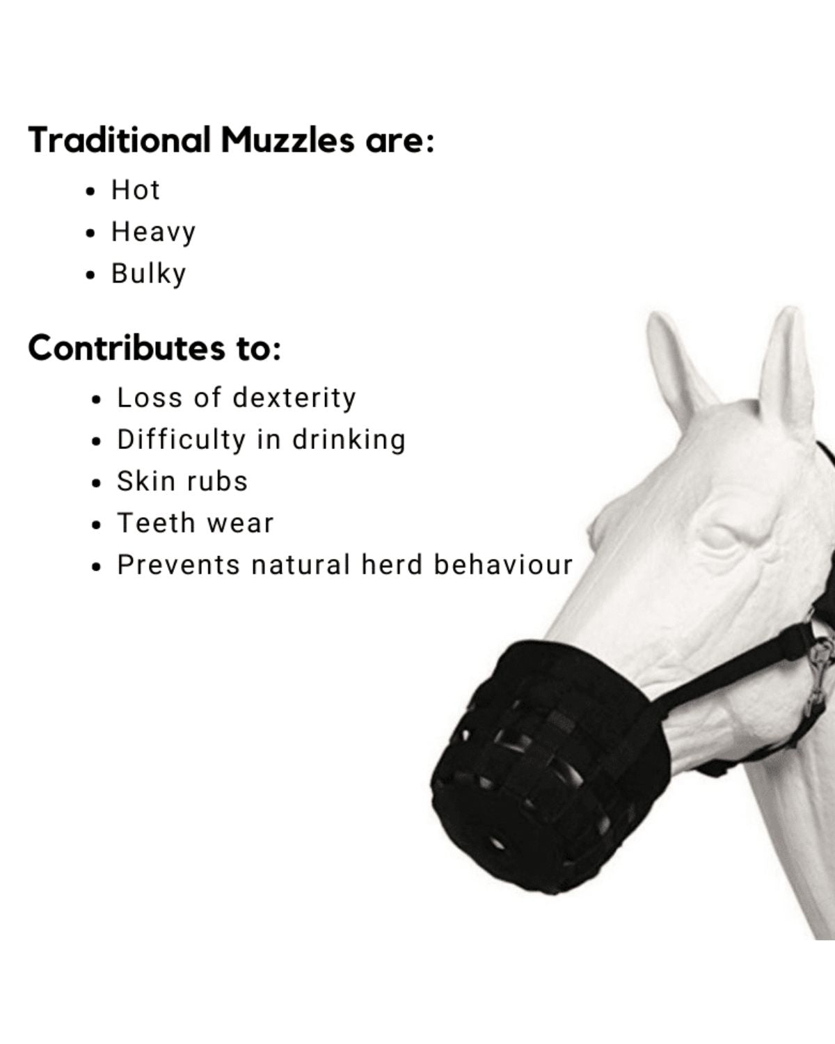 Horse wearing a traditional grazing muzzle, highlighting its disadvantages: hot, heavy, bulky, and causes teeth wear.