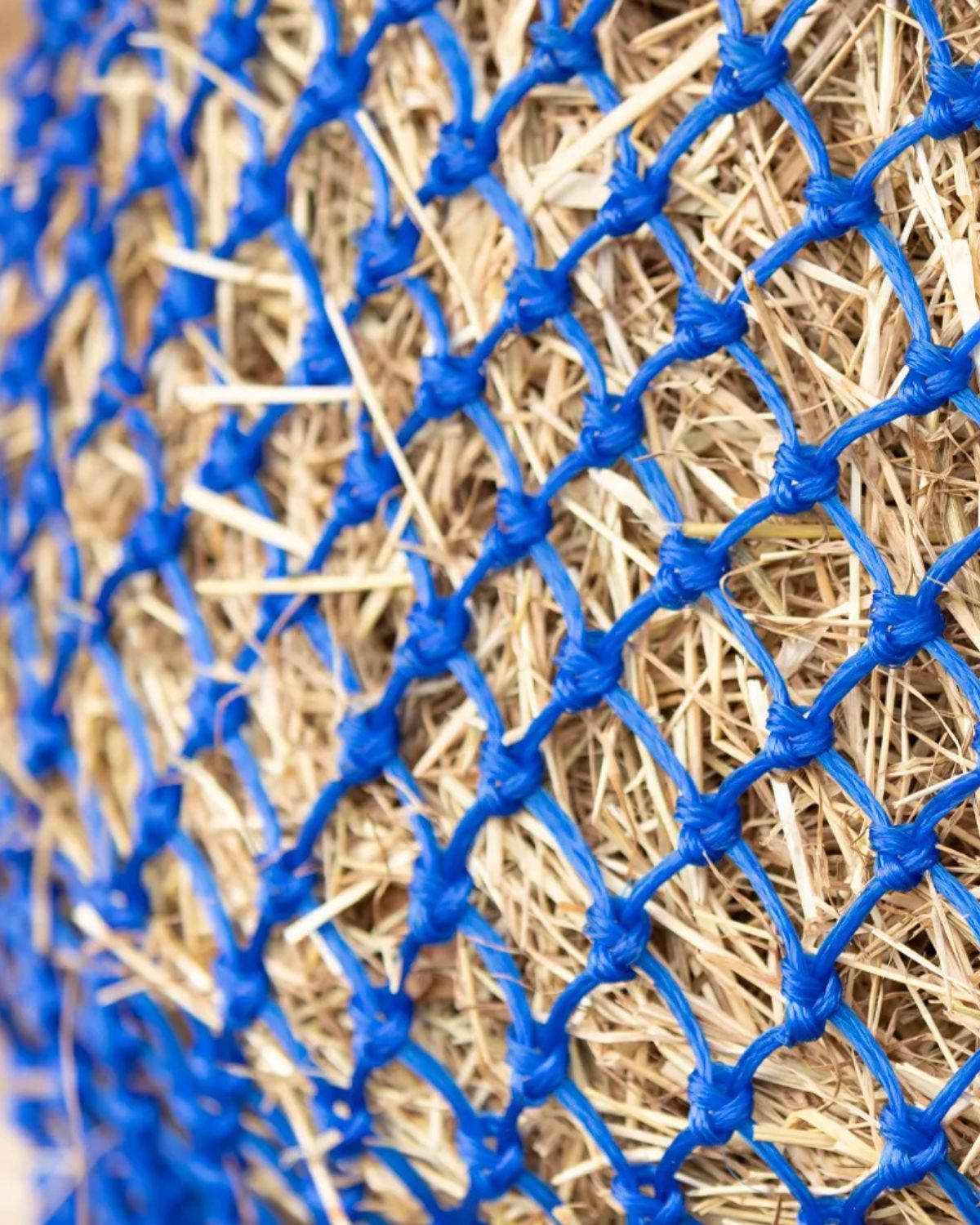 Slow Flow Small Hole Haynet by Hy Equestrian Blue