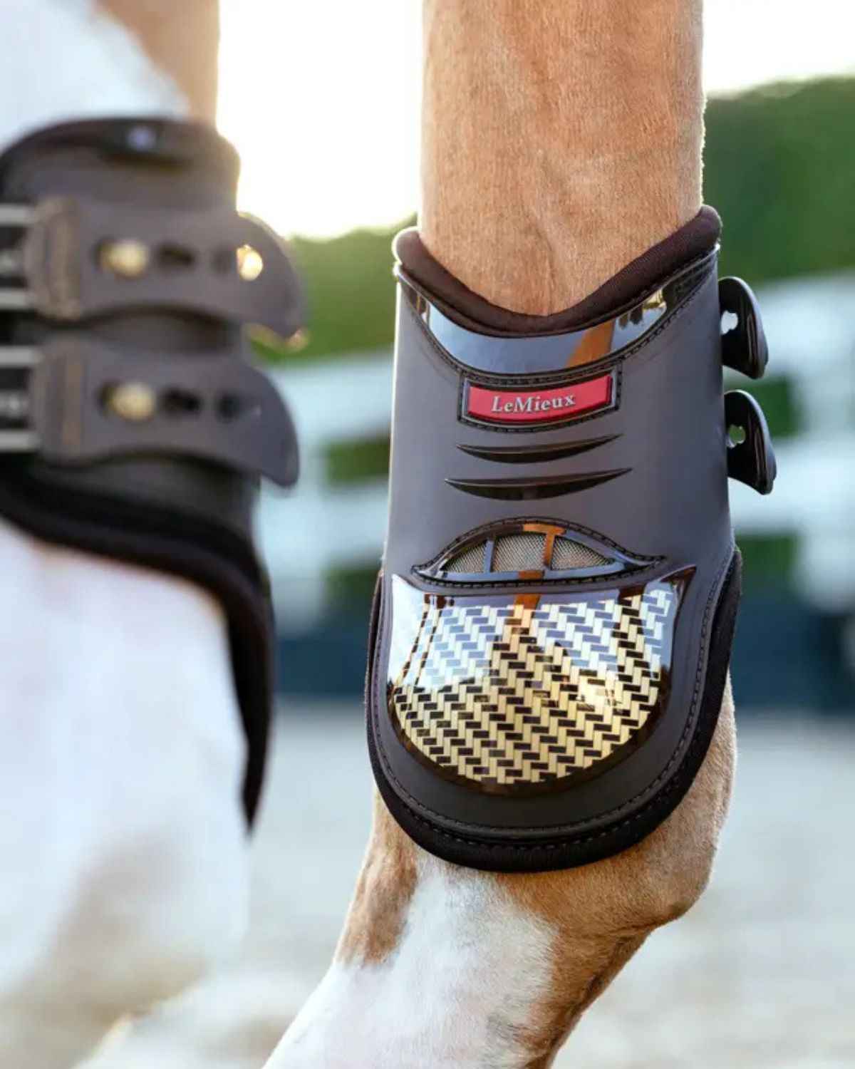 LeMieux Exo-Flex® Fetlock Boot Brown/Gold