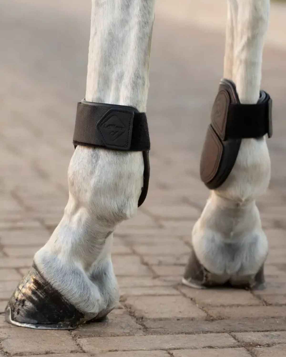 LeMieux Capella Fetlock Boots Black