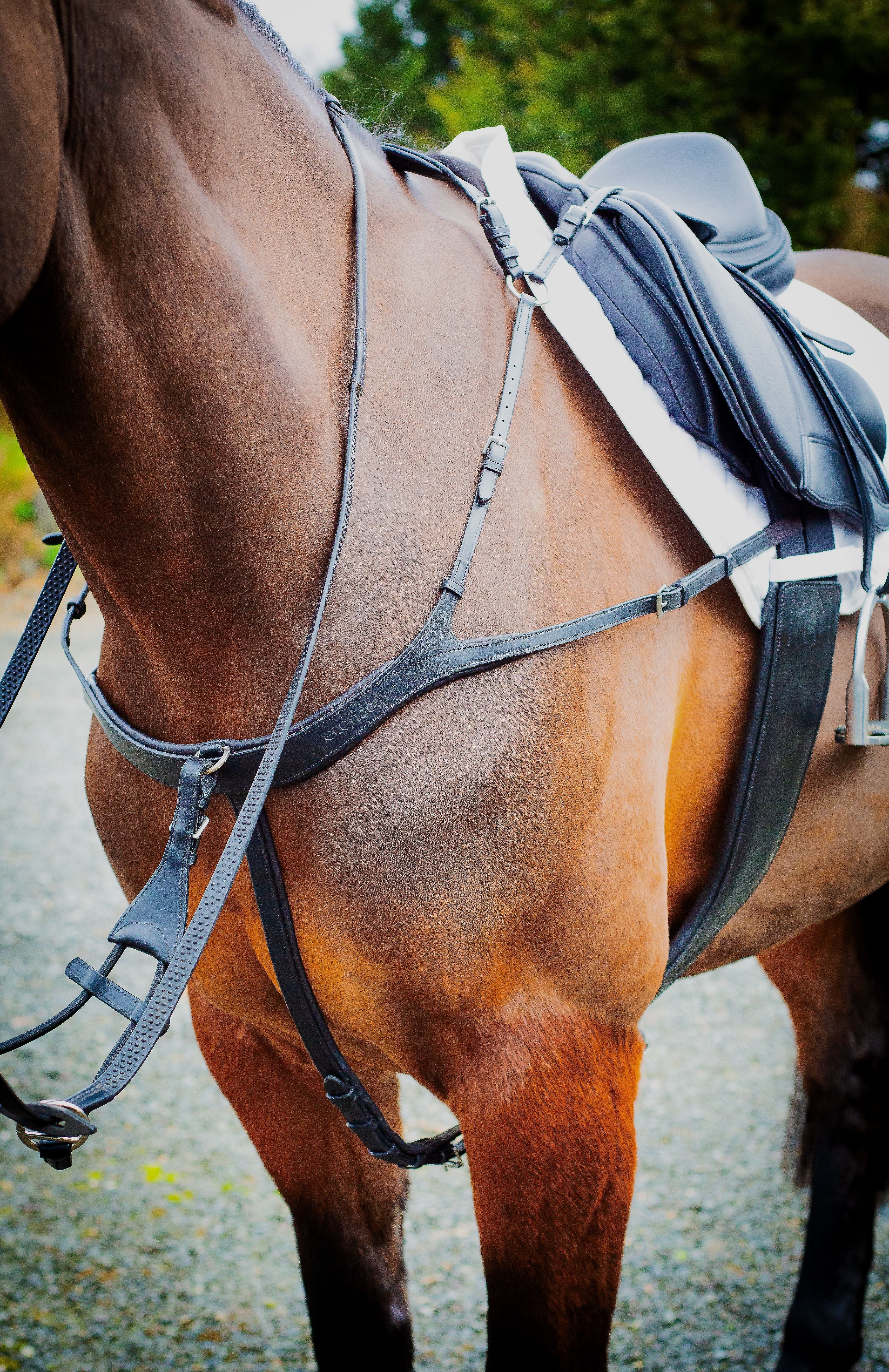 ECORIDER TARA Brown Breastplate on Horse - Equiflair Saddle Accessory