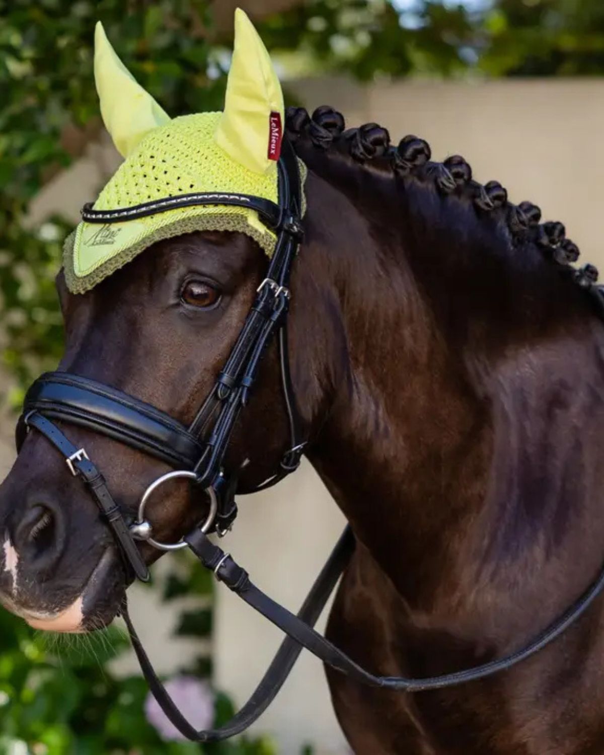 LeMieux Mini Fly Hood Kiwi - Pony Equestrian Gear - Close-up of horse wearing a Kiwi colored LeMieux Mini Fly Hood