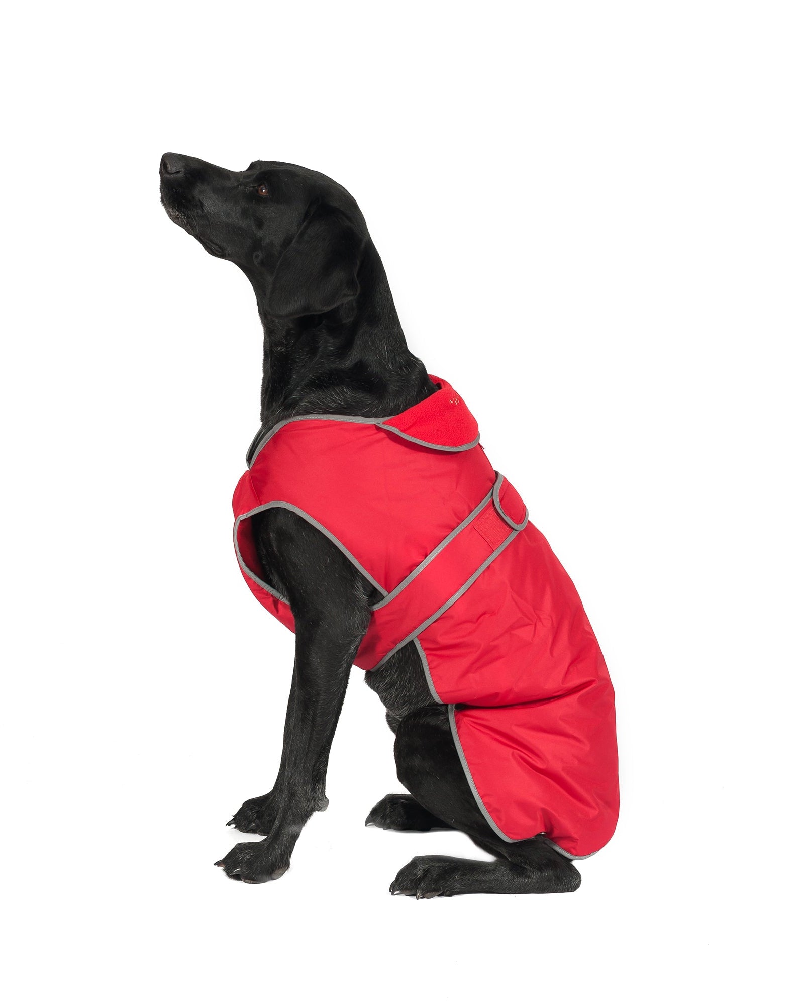 Ancol Stormguard Dog Coat Red