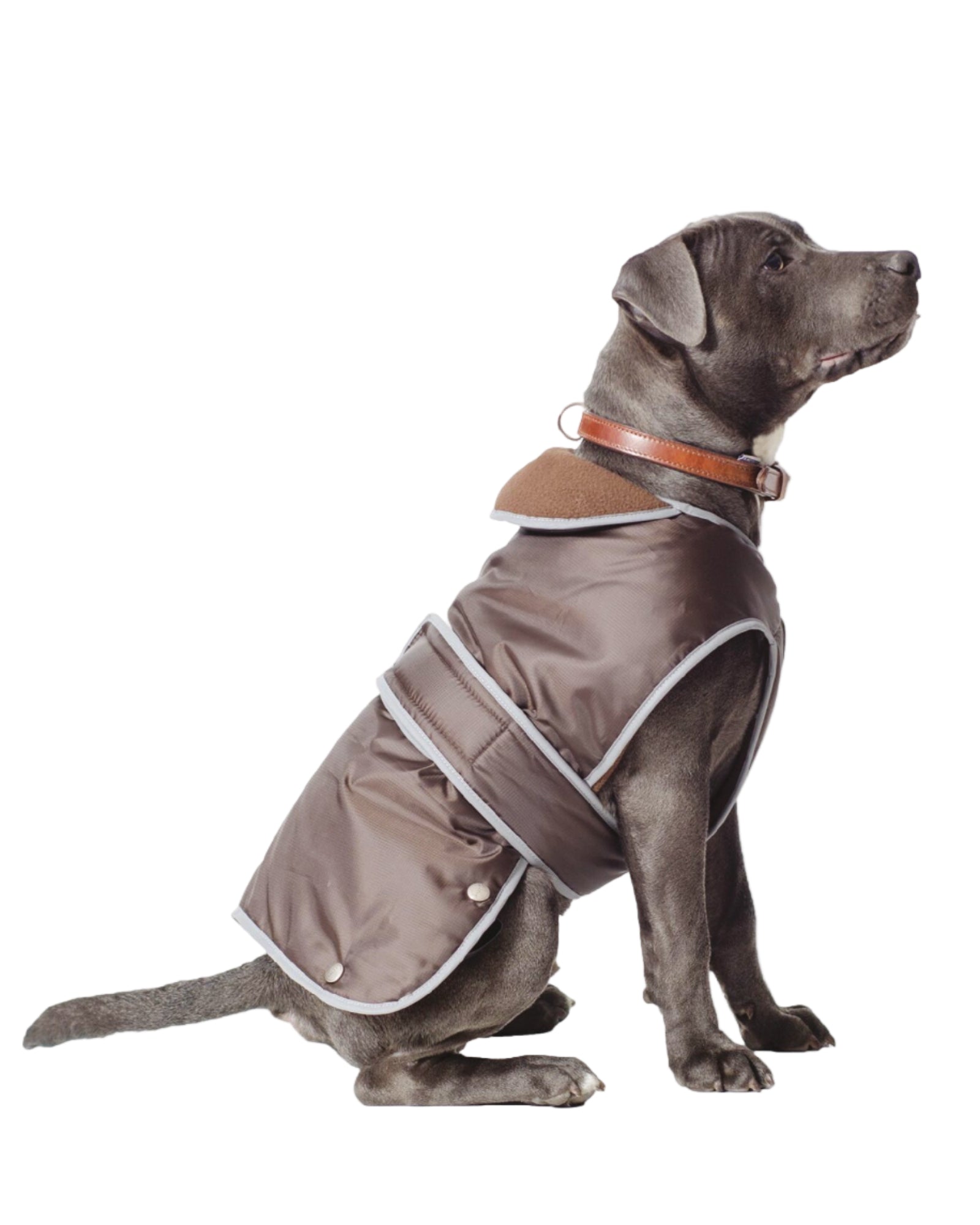 Ancol Stormguard Dog Coat Chocolate